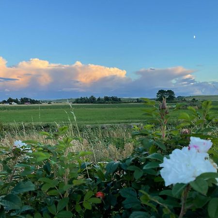 Aengahuset Villa Glemminge Exteriör bild