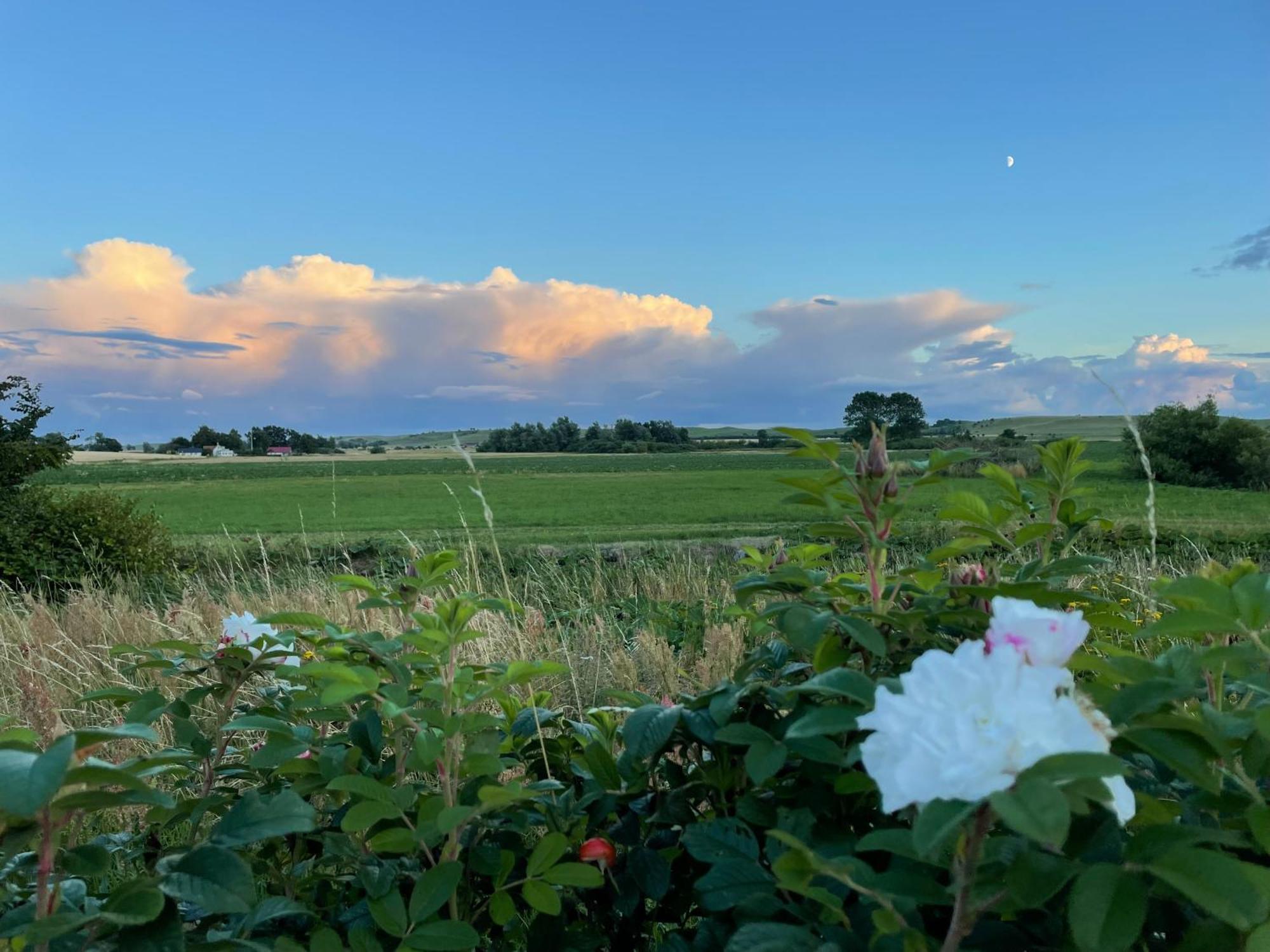 Aengahuset Villa Glemminge Exteriör bild