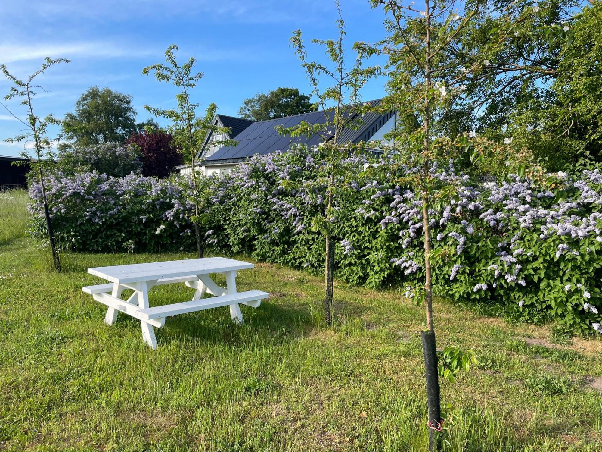 Aengahuset Villa Glemminge Exteriör bild